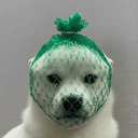 wDOG
