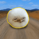 ball