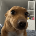 Milly