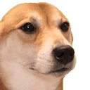 Winnie
