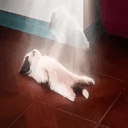 ascend