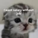 neetcat