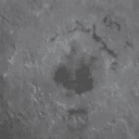 MOONDENG