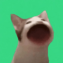 BWOP