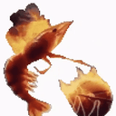 shrimp