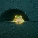 chillfrog