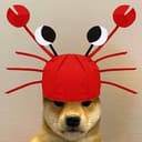 DOGWIFAI