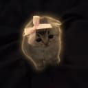 bowcat