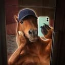 SELFIE