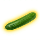 Cucumber