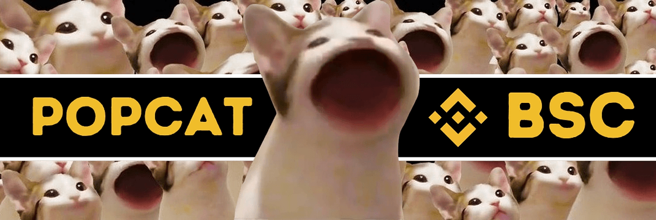 Popcat Banner