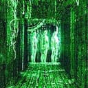 SIMULATION