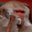 电话猴