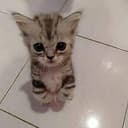 milly