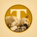 Taro