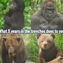 5Y