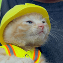 Sue