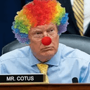 COTUS
