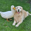 Friendship