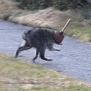 PLUMJIM