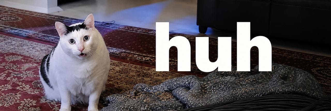 Huh The Viral Cat Banner