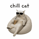 CHILLCAT