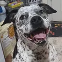 Zoe
