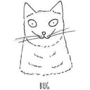 BUG