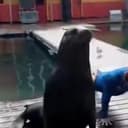 GYMSEA