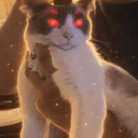 LaserCat