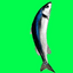 SFISH