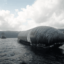 WHALE