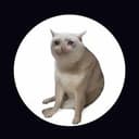 CASHCAT