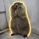 Marmots