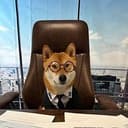 CEO