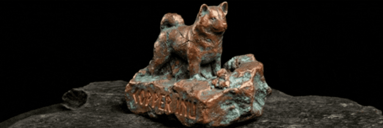copper inu Banner