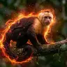 FireMonkey