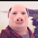 PORK
