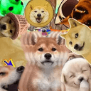 dogmaxxing