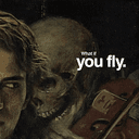 fly