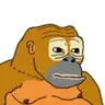 Monkeys