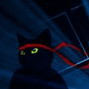 ninjacat