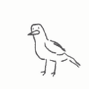 HONK