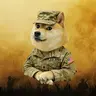 wardoge