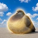 PIGEON