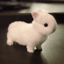 buni