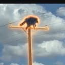 ONTOP