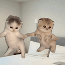 cats