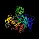 ENZYME