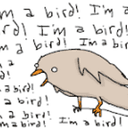 bird
